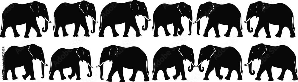 Fototapeta premium Vector collection of twelve african elephant silhouettes in various walking and standing poses isolated on white background for wildlife safari design