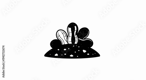 Black and white illustration of peanuts on a mound