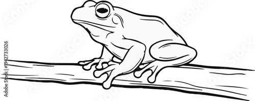 Black and white line drawing of a frog sitting on a branch