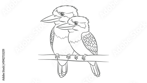 Kookaburras on Branch: Two kookaburras perch together on a branch, their distinct features and iconic beaks creating a scene of avian charm and quiet observation. 
