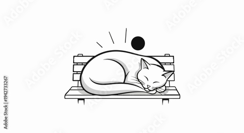 A white cat sleeps curled on a wooden bench under a black circle and lines