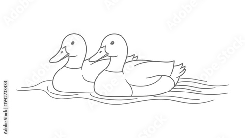 Duck Duo on the Water: A line drawing portrays two ducks floating serenely on the water's surface, capturing a moment of tranquility and simple beauty.