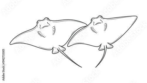 Oceanic Symphony: Two graceful rays, captured in an elegant line drawing, glide through the depths of the ocean.