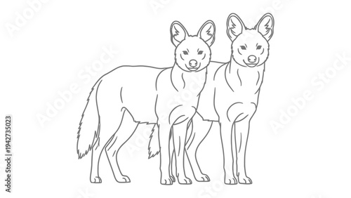 Drawn Wolves Silhouette: A pair of wolves stand side-by-side, captured in a stark line drawing, emphasizing their shared bond and the wild spirit of nature.