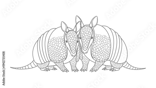 Two armadillos outline: An illustration of two armadillos facing each other, rendered in detailed outline style.