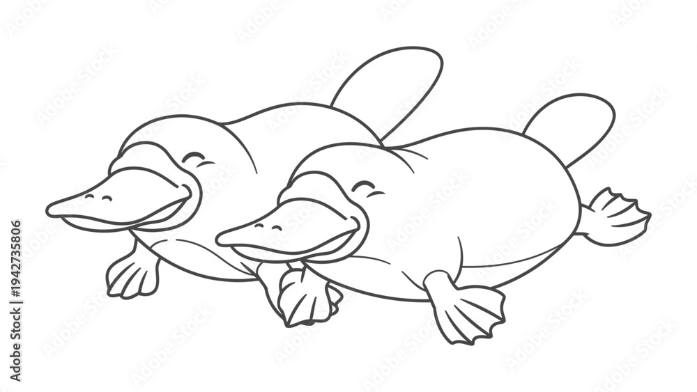 Fototapeta premium Platypus Duo's Delight: Two delightful platypuses, each with its unique bill and webbed feet, float together. They're joyfully enjoying their aquatic playground.