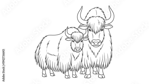 Line Drawing of Yak Family: A detailed black and white illustration of two yaks, one adult and one juvenile, standing side-by-side, showcasing their distinctive features.