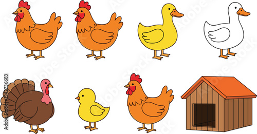 Set of colorful farm birds vector illustration including hens ducks turkey and chick with wooden coop isolated on white background for agriculture design.