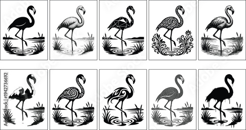 Flamingo standing in water silhouette collection, tropical bird vector illustration set with decorative, geometric and sketch styles, wildlife logo icons isolated on white background