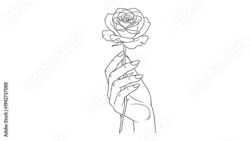 Delicate black and white line drawing of a graceful human hand holding a single blooming rose with intricate petal details.