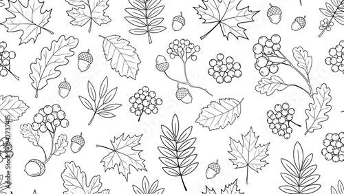 Seamless black and white pattern featuring detailed outlines of various autumn leaves, acorns, and clusters of berries on a white background.