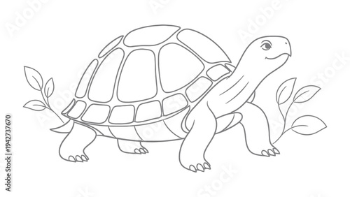Tortoise: A charming illustration of a tortoise, showcasing its unique shell and gentle demeanor.