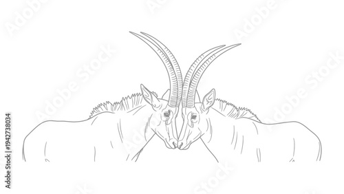 Sable Antelope Duel: A detailed illustration captures a striking moment of confrontation between two sable antelope, horns interlocked in a display of dominance and power.