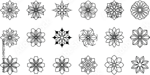 Black and white floral flowers patterns shapes