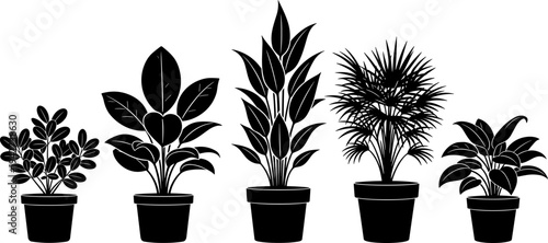 Collection of indoor houseplant silhouettes in pots for home decor interior design gardening nature botany and tropical greenery flat vector