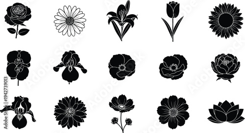 Black and white floral silhouettes on white background flowers 1