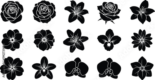 Black and white floral silhouettes with white outlines on plain white background flowers
