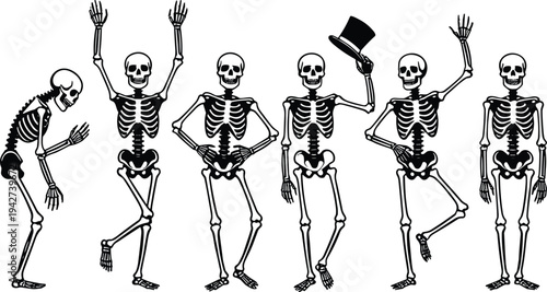 Dancing skeleton characters in different poses including bow and top hat, Halloween illustration, funny cartoon skeleton set isolated on white background vector