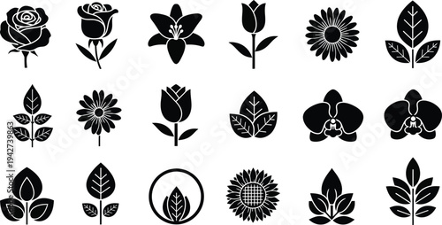 Black and white floral with leaves and flowers silhouettes