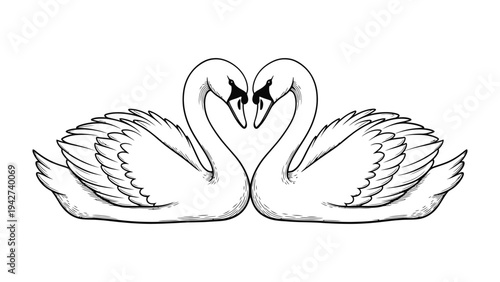 Swan Heart: Two elegant swans create a heart shape with their necks, symbolizing love and connection. Their graceful forms evoke a sense of romance and tenderness.