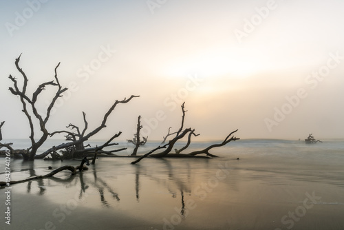 Fog covers a beach at sunset with driftwood scattered along the shoreline and water reflecting the light