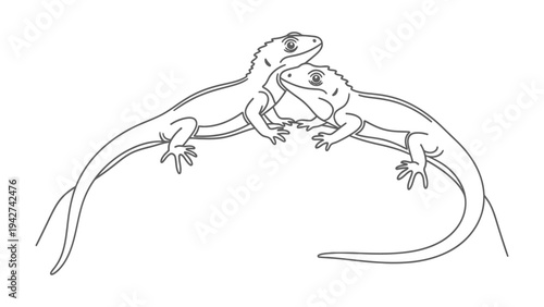 Love of the reptile couple:Two lizard illustrations, lovingly entwined in a tender embrace, showcasing delicate lines and intricate details in black and white.