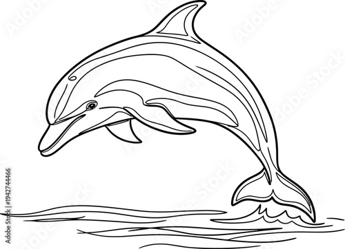 A dolphin jumping out of the water in a playful leap