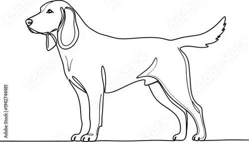 A black and white line drawing of a dog standing