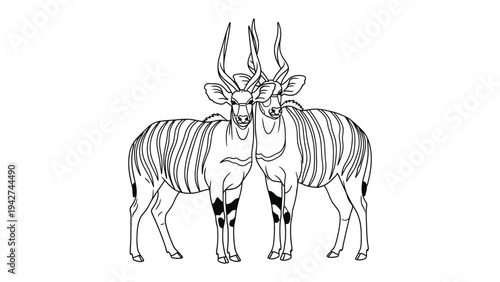 Antelope Duo Illustration: Two majestic antelopes, standing in close proximity, their elegant forms illustrated in clean lines and a monochrome palette, suggesting harmony and connection.