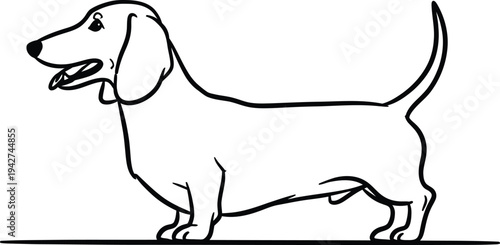 A cartoon drawing of a dachshund dog standing and looking left