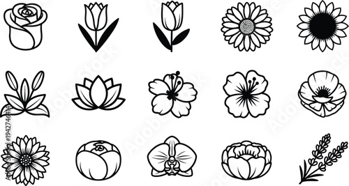 Black and white line of various flowers botanical