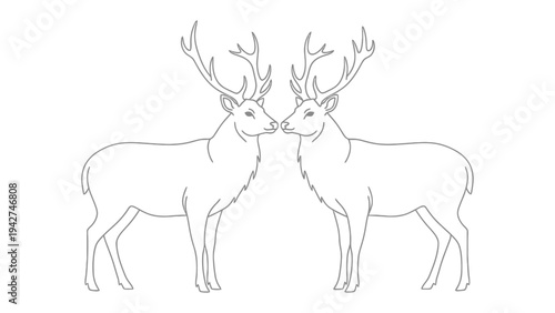 Deer Outline Illustration: Two elegant deer with elaborate antlers, illustrated in simple line art, showcasing nature's beauty in a clean and modern style.