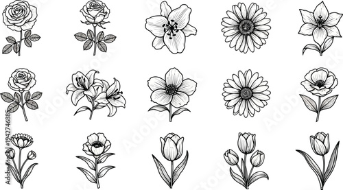 Black and white line of various flowers on white background 1
