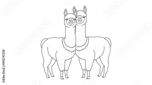 Pair of Playful Llamas: Charming llamas, standing side by side, their whimsical charm brings joy and smiles to your creative projects.  