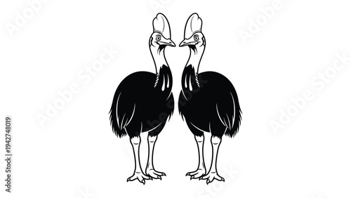 Elegant Cassowaries: Two majestic cassowaries stand gracefully in profile, showcasing their distinctive features against a stark background, highlighting the avian beauty and intricate patterns.