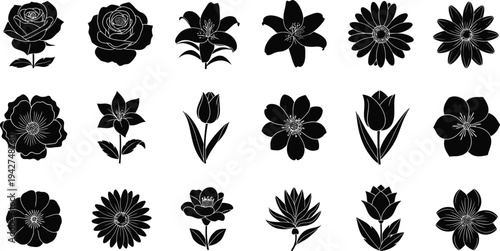 Black floral silhouettes on white background flowers 1
