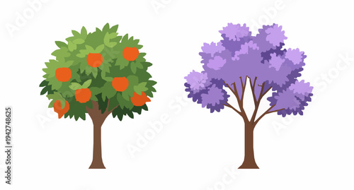 Fruit tree with oranges and purple blossom tree vector illustration isolated on white