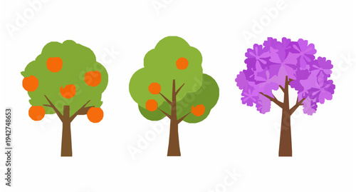 Orange fruit tree and purple flower tree vector set nature plant illustration
