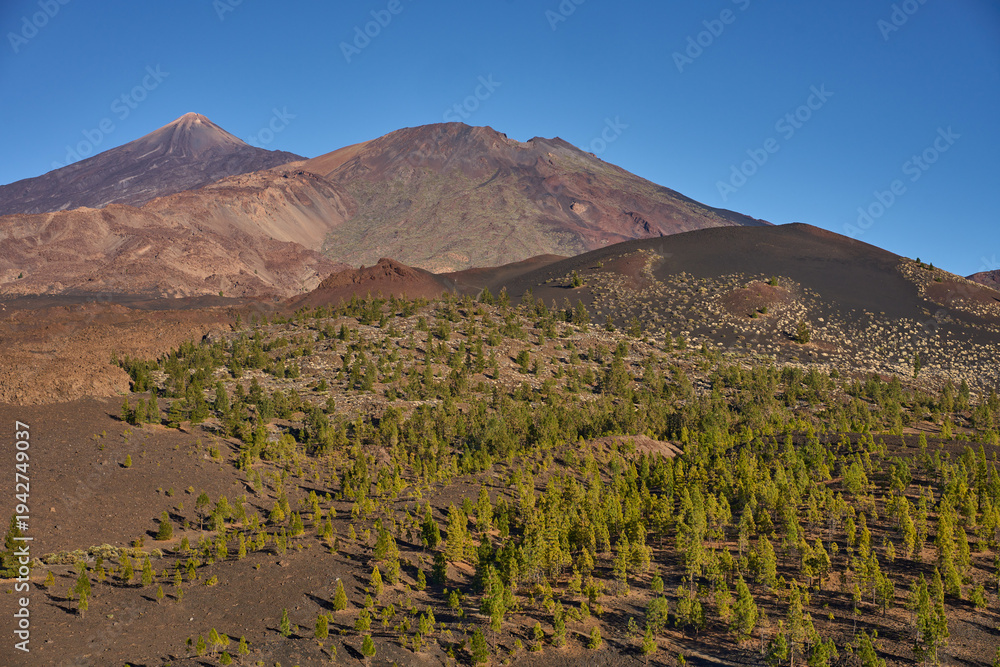 Fototapeta premium Pico del Teide and Pico Viejo volcanic peaks