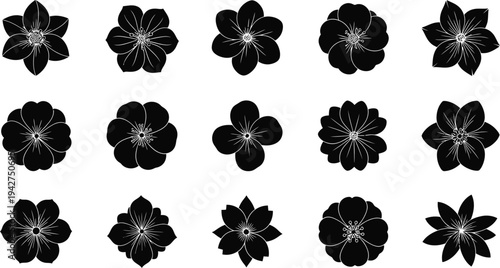 Black flowers with white details on white background 1