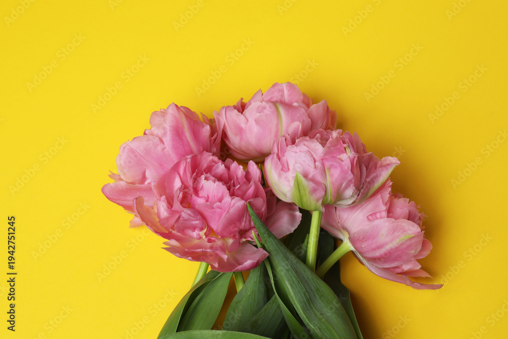 Obraz premium Bouquet of tulips on a colored background, place for text 