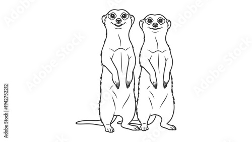 Meerkat Companionship: Two meerkats, standing tall and vigilant, exude a sense of unity and watchfulness, embodying the essence of teamwork and camaraderie.