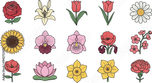Colorful cartoon flowers on white background