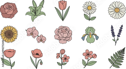 Colorful cartoon flowers and leaves on white background