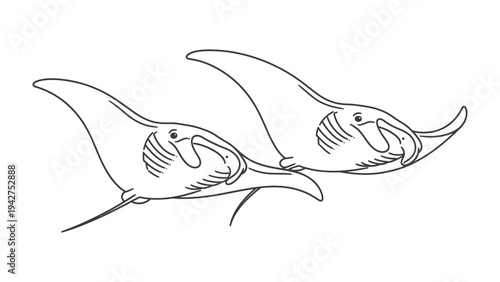 Two Manta Rays Swimming: A simple line drawing depicting two graceful manta rays gliding through the water, their elegant fins outstretched.