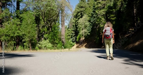 Wallpaper Mural Hiker Walking Down a Forest Road on a Sunny Day Torontodigital.ca