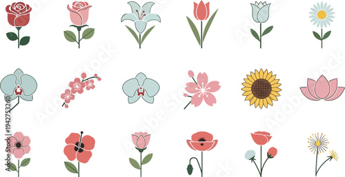 Colorful flower in rows on white background flowers plants