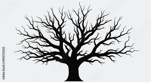 Black silhouette of a bare tree