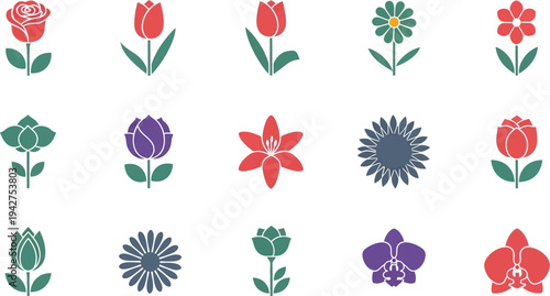 Colorful flower in rows on white flowers background 1