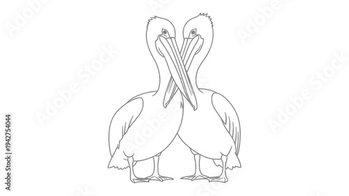 Pelican Couple's Embrace: A detailed illustration captures the tender moment between two pelicans, their beaks gently touching in an affectionate embrace. A symbol of unity and companionship.
